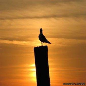 Sunset Cape Charles